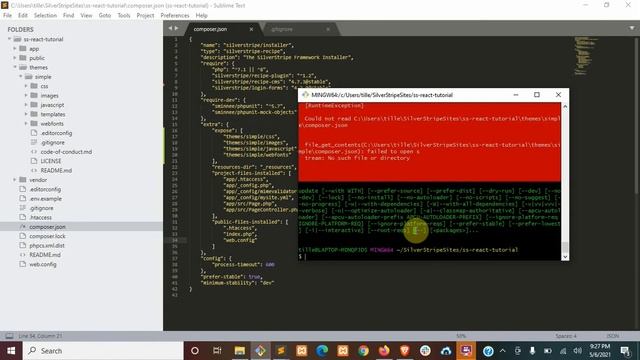 SilverStripe with React Introduction & Installation