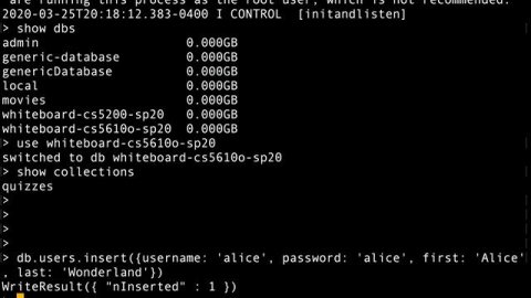Inserting user data into Mongo DB using Mongo client cs5610o sp20 12203