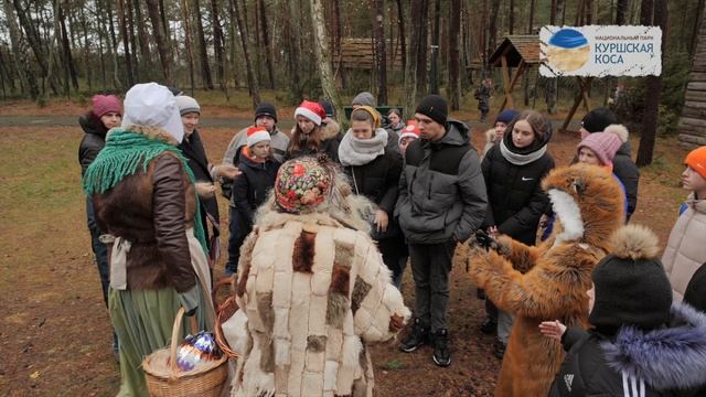 Новогодние приключения в Куршском лесу