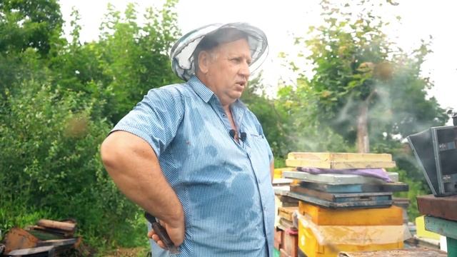 О пасеке Моториных