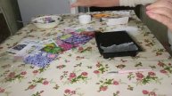 Способы посева мелких семян:посев в снег,по трафарету,на салфетку,шприцом.