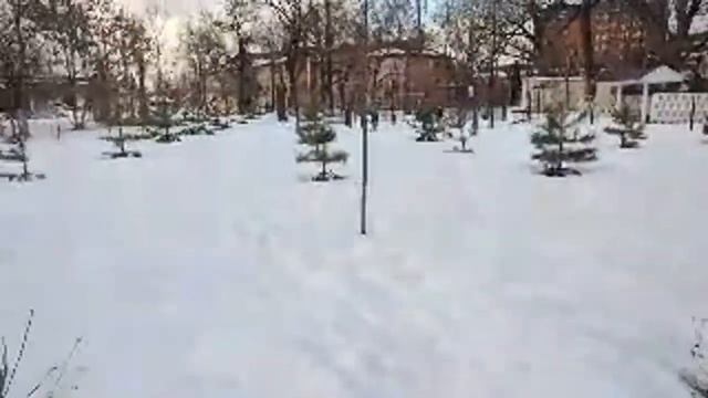 Крымск Река Больше Половины Полная деревья сломание валяются