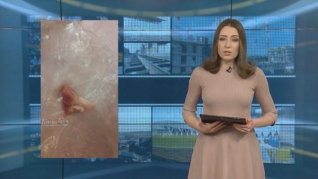 Подсмотрено в сети от 6 февраля 2019