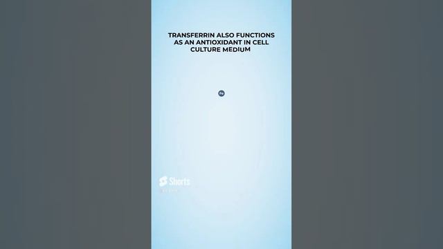 Why are transferrin important in adherent cell culture medium? #kosheeka #primarycells