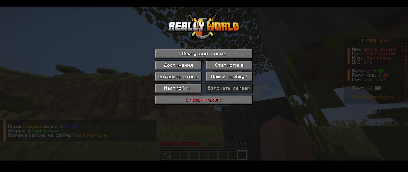 играю на reallyworld