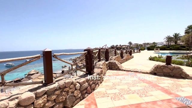 Обзор отеля Faraana reef, Шарм Эль Шейх. Экскурсии в Шарм Эль Шейх
