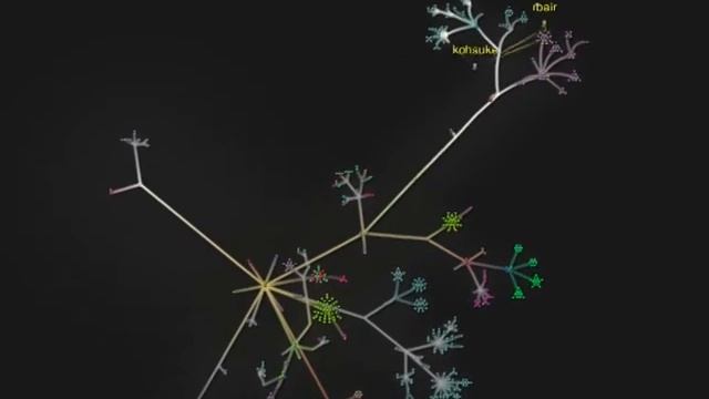 Gource: Hudson's Birth