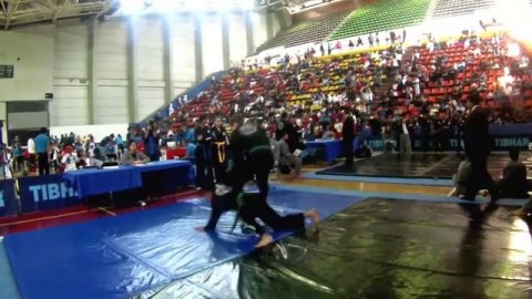 Hapkido técnicas | Sección adultos | Sin Moo Hapkido Puebla | Festival de artes marciales 2014