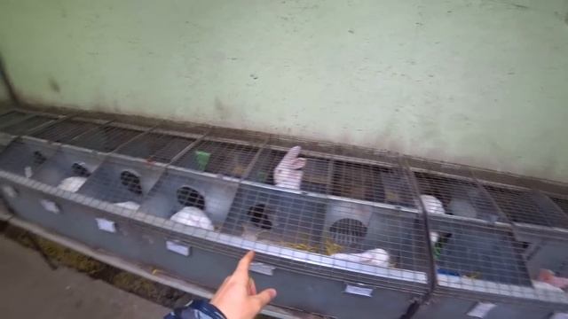 ФЕВРАЛЬСКОЕ УТРО В КОМПАНИИ ДЯДИ САШИ!