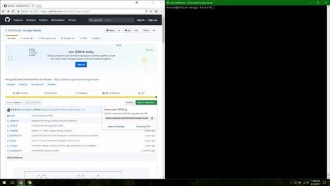 Enable Colors in Mongo Shell on Linux with Mongo Hacker