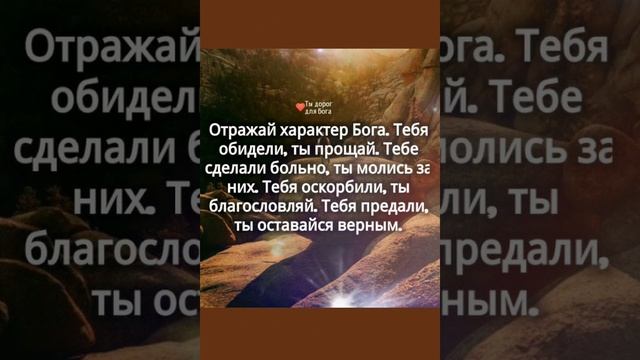 Тихой и спокойной ночи ?!!!