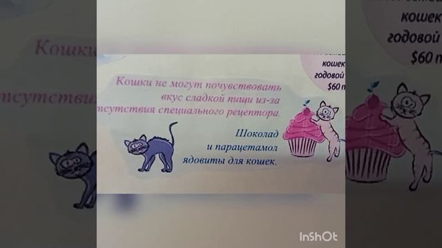 8 августа - всемирный день кошек гр.  Колокольчик