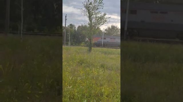 Поездаааа