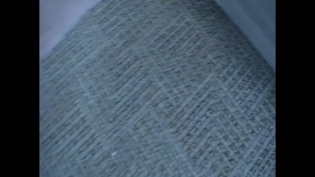 Как бороться с чешуйницами в домашних условиях