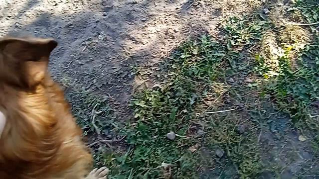 Соболек порезвиться и подкрепился!