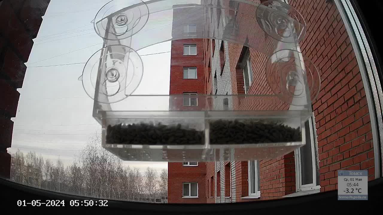 Кормушечка 01.05.24