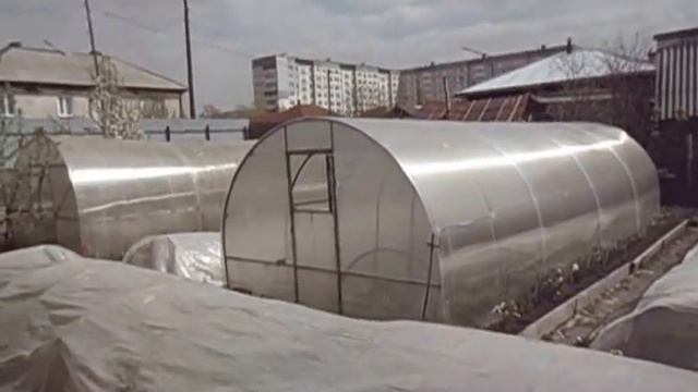 ПОСЛЕ МОРОЗА НА АЛТАЙ ПРИШЛА ЖАРА И ШТОРМОВОЙ ВЕТЕР  Видео Ольги Черновой 8 мая