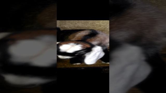 V_20230413_160351