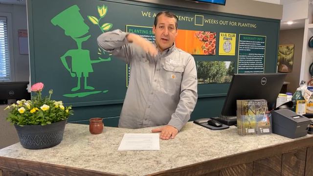 Spring Garden Preparation Guide