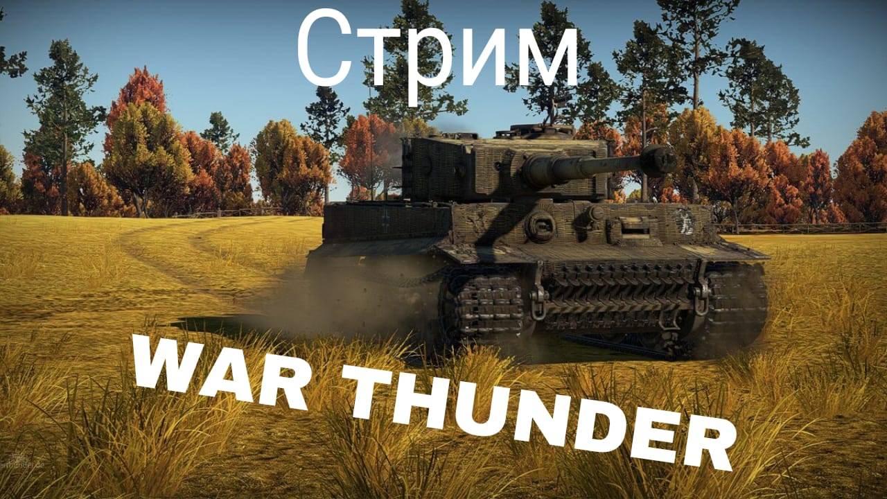 играем  War Thunder и общаемся