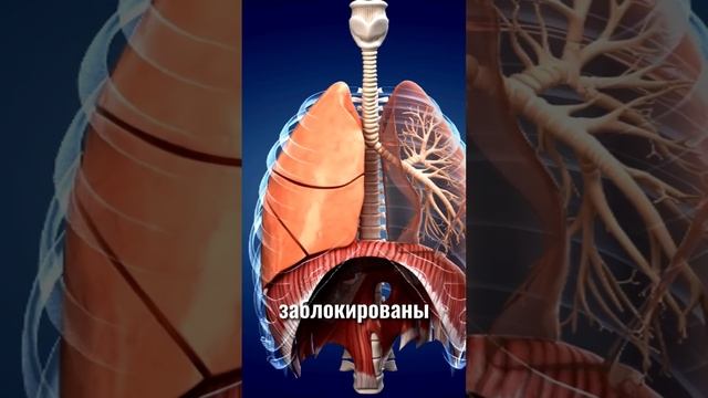 Что если ты проглотишь эти вещи