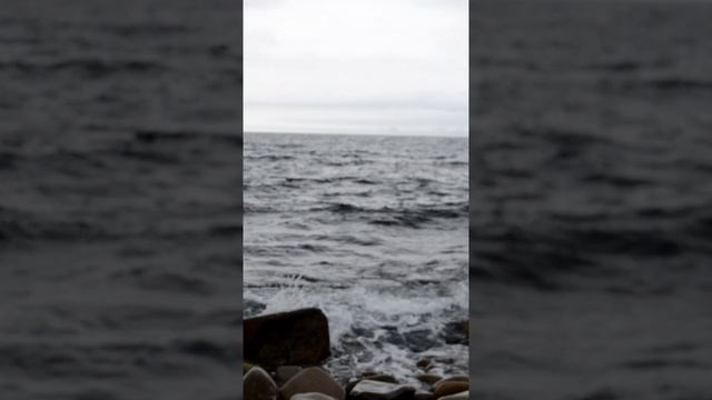 На острове Русский. Приморье.