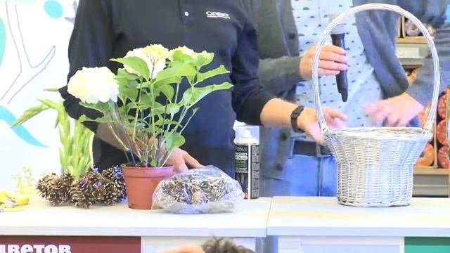 Тренды новогоднего оформления 2016/17 (2)