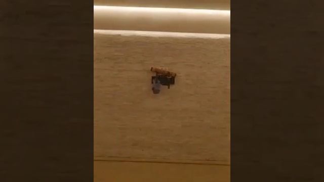 Шлифовка и полировка мрамор 89258600442