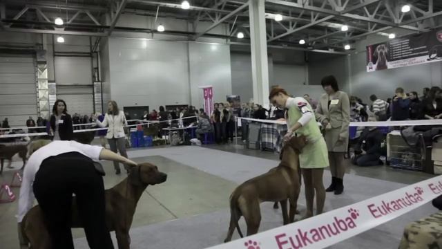 РОССИЯ-2012