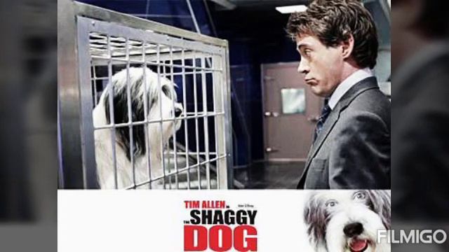 Shaggy Dog Movie Review in Tamil by Fahim Raphael