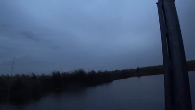 Лучшее открытие охоты на утку 2018. Попали дробью в спину / отличная охота