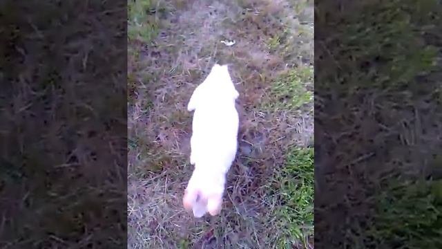 VID 20180829 191628
