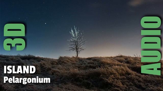 Pelargonium - Island [3D AUDIO]