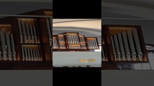 Органная музыка в Петрикирхе С-Пб. Шедевры мировой музыки.