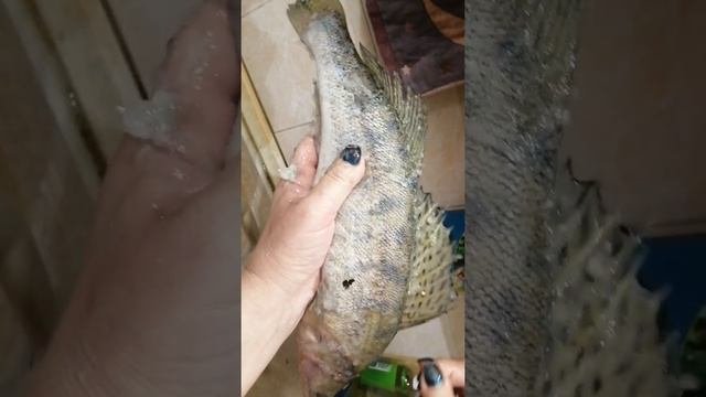 Рецепт сациви с рыбой