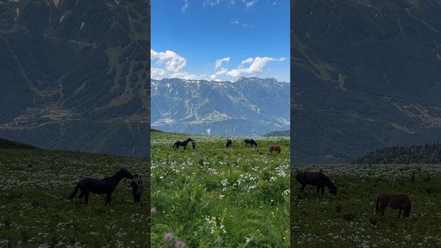 Родниковая вода «Вечно Молодой» – лучший спутник ваших путешествий!