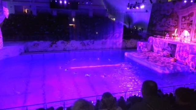 27.12.2014 Страна Снов