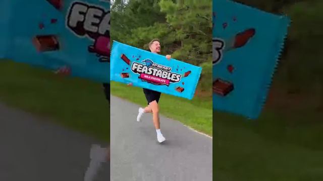 мисткр бист несёт Festelbas