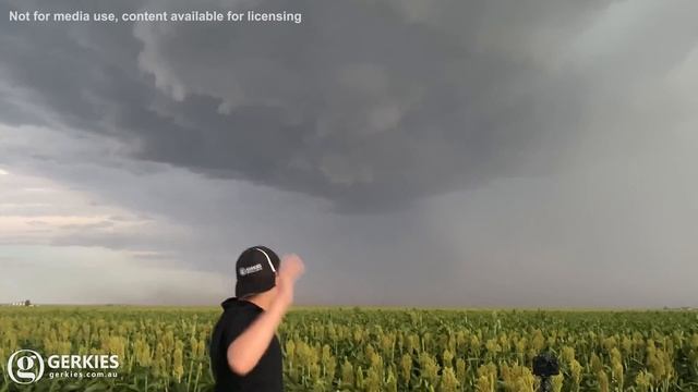 Multiple Severe Microbursts, Dalby QLD Australia, 11 Feb 2022 - GERKIES