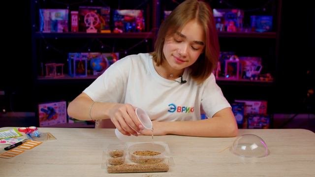 7318467 Набор для опытов Мой мини сад