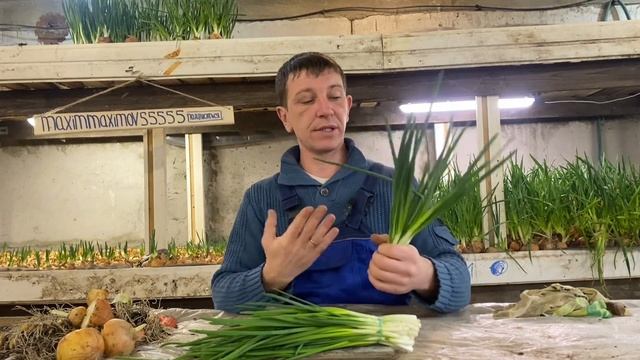 Лук на перо #25 эксперимент калибра