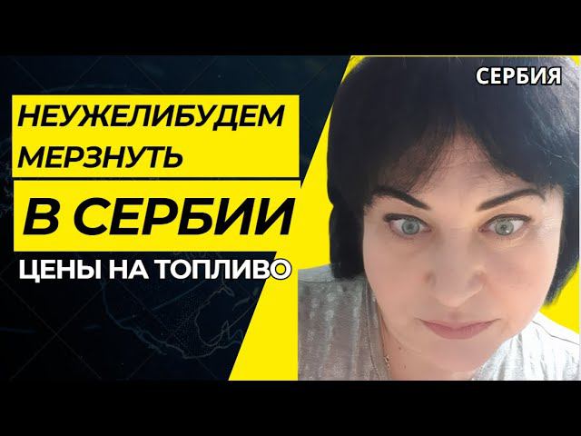 VLOG/И СНОВА СВЕТОФОР/ОТВЕТ МАДАМ ПУ ПУ #Elena RU-Serbia #магазинсветофор #покров #serbia #vlog