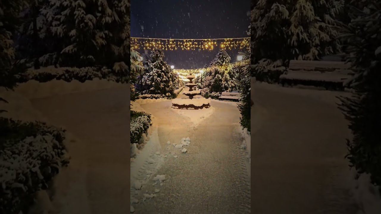 Зимняя сказка в Сочи, февраль 2024