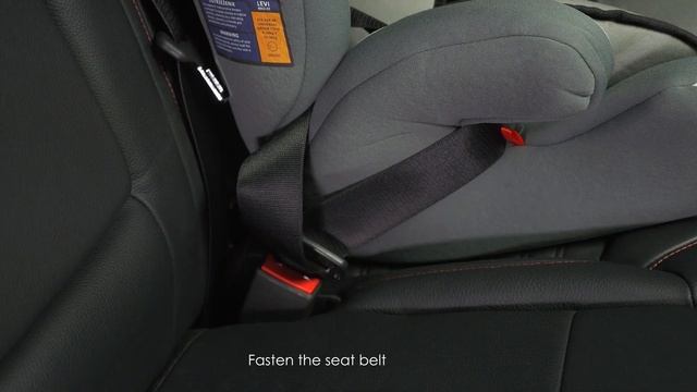 Child safety seat Lionelo Levi - manual