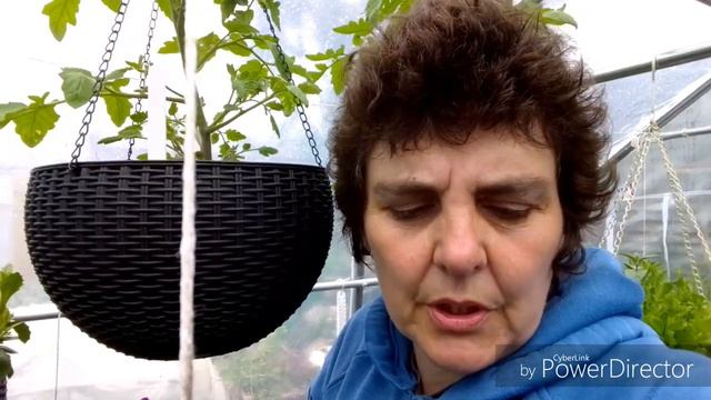 Garden and Autopot update