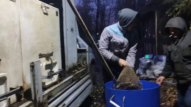 КРХ Белая Дача 10.10.22 Основной водоём привоз щуки 521кг.!