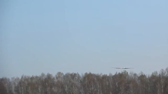 Kamenka, flying RC helicopters T Rex500 T Rex550 p65