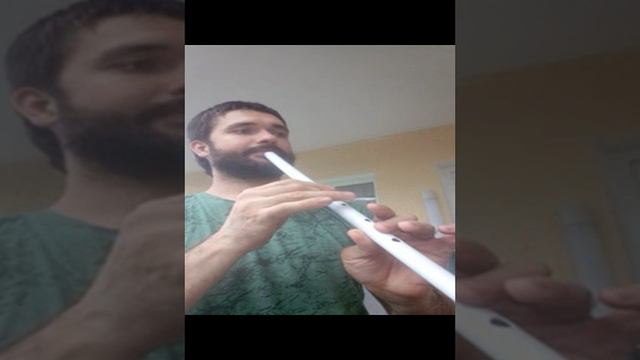 мелодия на пластиковой флейте Сякухати