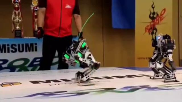 Турнир боевых мини-роботов в Японии

Этот чемпионат называется Robo-One и проводится несколько раз в