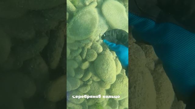 Классные пляжные находки| Подводный поиск в Черном море